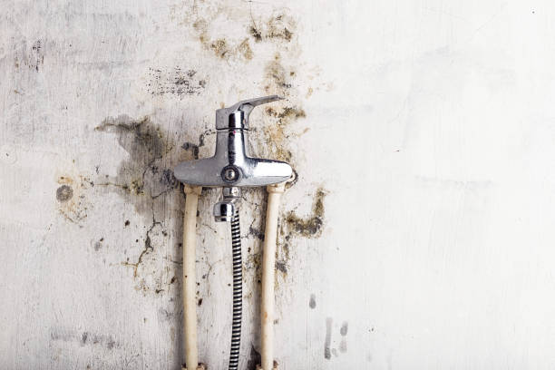 Best Health and Safety Mold Remediation in Lake Kiowa, TX