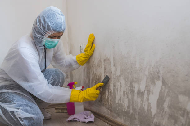 Best Industrial Mold Remediation in Lake Kiowa, TX