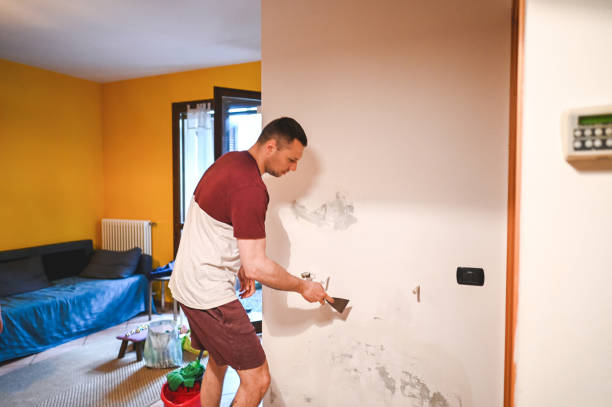 Best Residential Mold Remediation in Lake Kiowa, TX